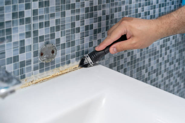 Best Mold Removal Specialists  in Frostproof, FL