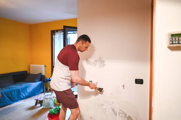 Best Office Mold Removal Services  in Frostproof, FL