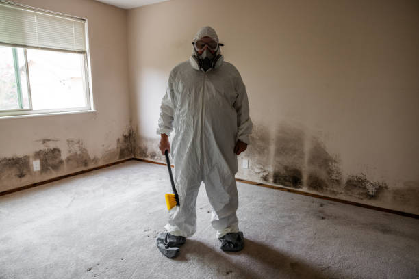 Mold Removal and Inspection in Frostproof, FL